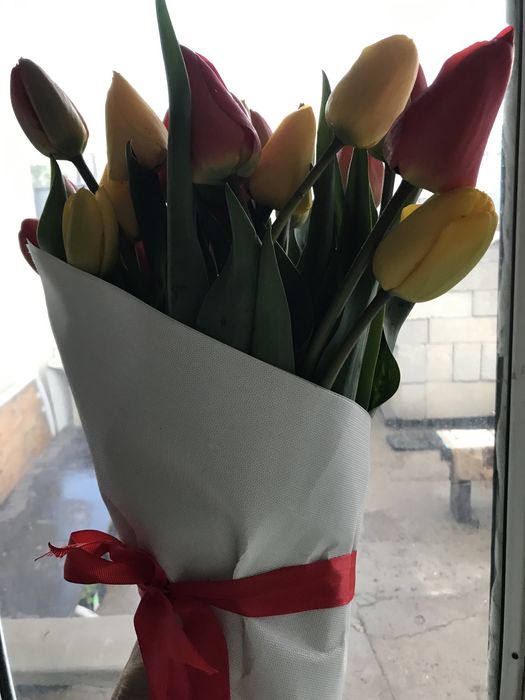 Тюльпаны красные желтые букеты