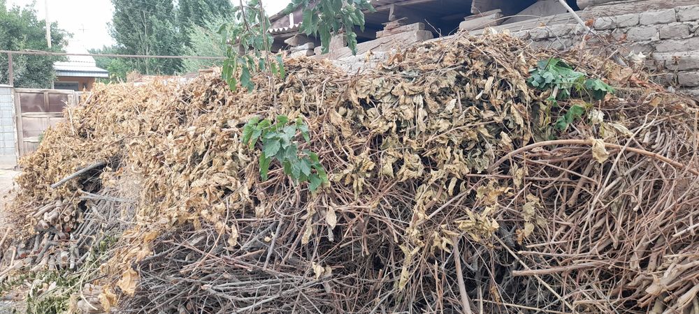 Отын сатылады тайын шауып майдаланган