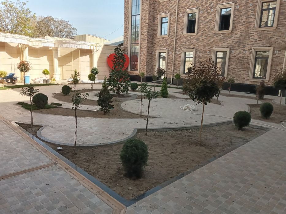 Gazon rulonli Taylor urnatib beramiz. Urug'idan ham ekib beramiz