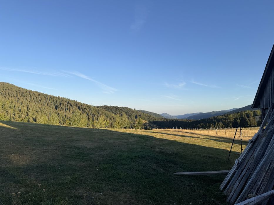 Teren intravilan  zona Vartop Arieseni