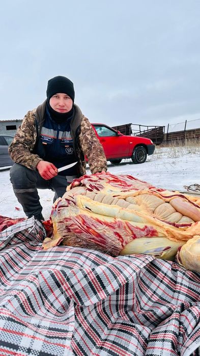 Қасапшы мал соямын