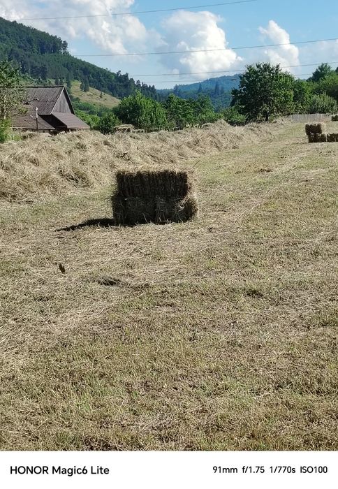 Baloți de fân de vânzare