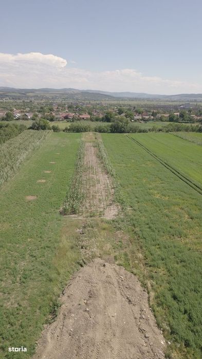 Teren Intravilan 30 Ari Cuzdrioara