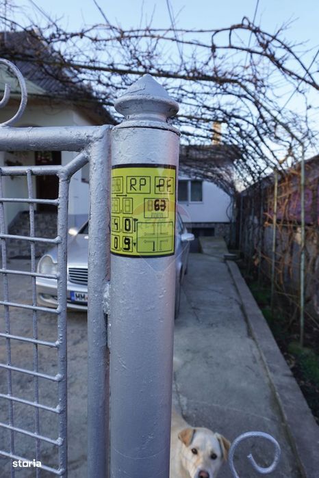 Proprietate cu 2 Case și Teren Generos – Str. Câmpu Negru