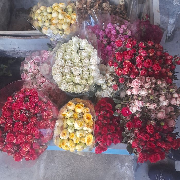 Har xil turdagi atirgul ko‘chatlari bor