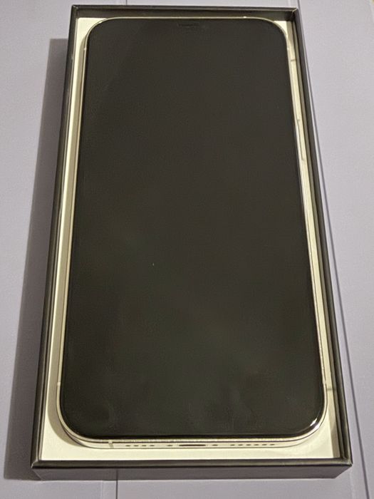 Iphone 12 pro max 256gb silver