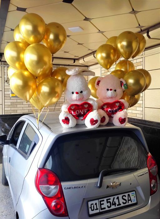 Teddy va boshqa yumshoq oʻyinchoqlar arginal