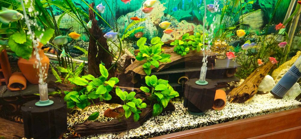 Аквариум 612л + филтри