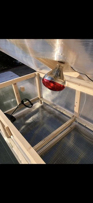 Maternitate pentru pui de gaina