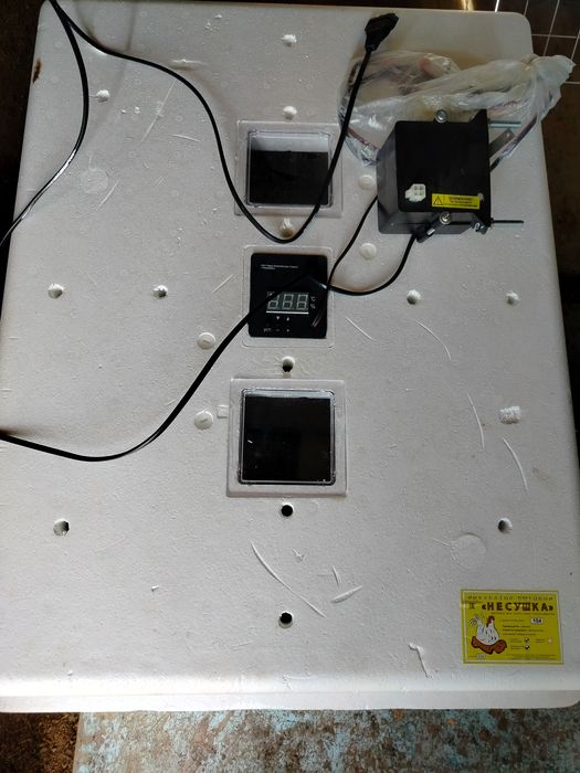 Инкубатор несушка