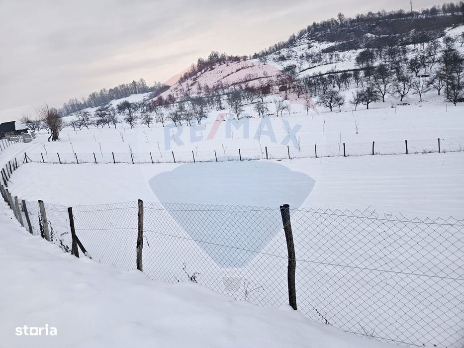 Teren 4,301mp Barsana / Strada Principala