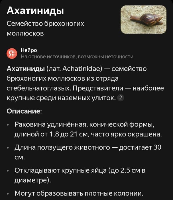 Продам Улиток Ахатин