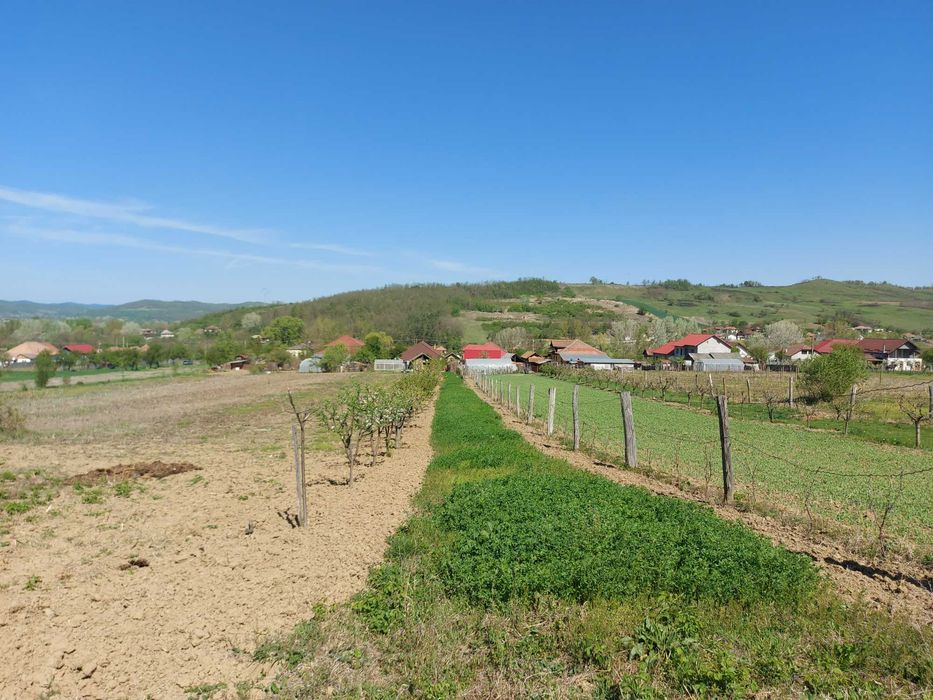 Teren 5,70 ha intravilan+extravilan,  Vladimir-Andreesti , Jud.Gorj