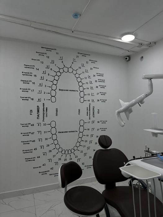 Художник. Роспись стен Семей