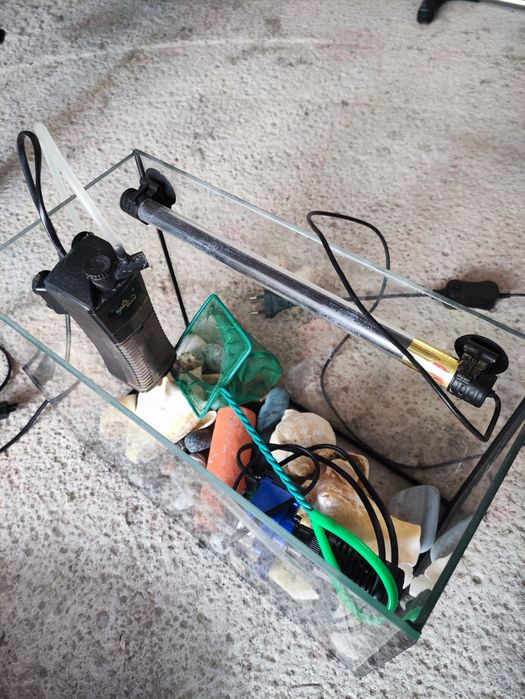 аквариум  15л со всем содержимым на фото