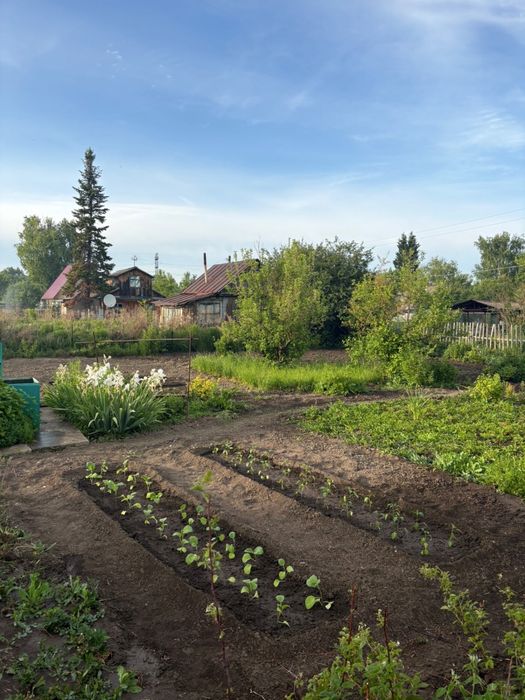 Продам дачу Восточник 5