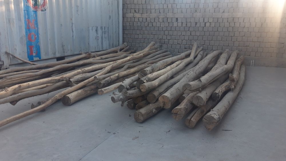 Болор кук терак арзон нархда