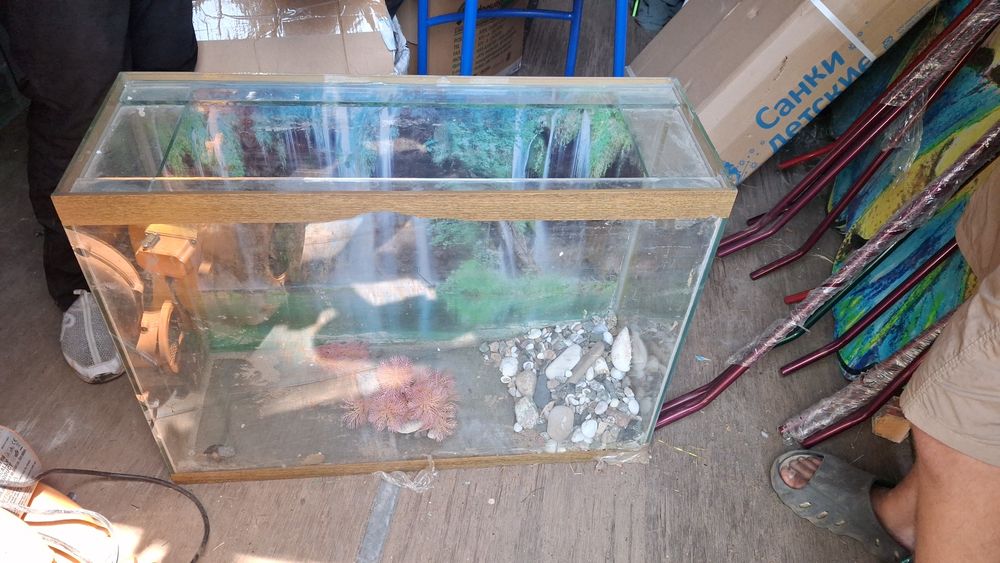 Продам аквариумис