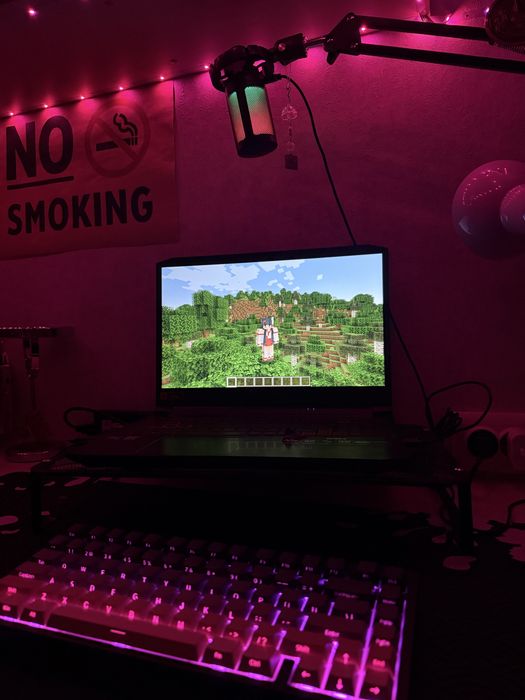 Acer nitro 5 AN515-57