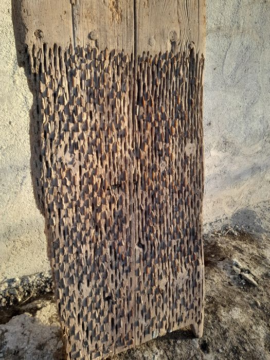 Диканя в автентичен вид