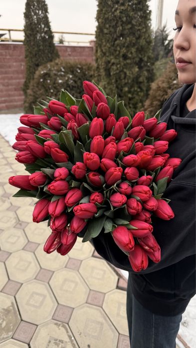 Тюльпаны ОПТОМ местные