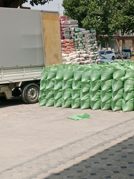 Sement qum klinixs shagʻal