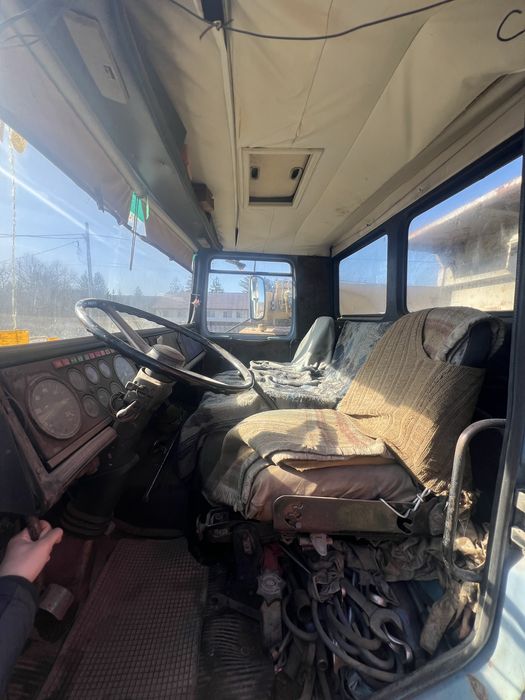 Raba basculanta Roman