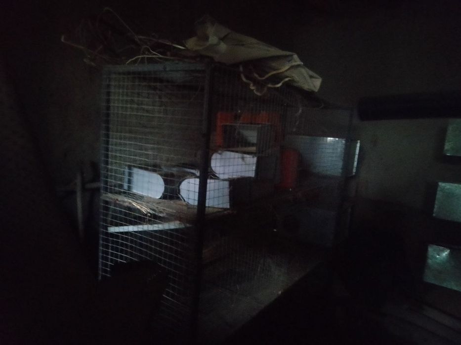 Quyon kataklar xamyonbob