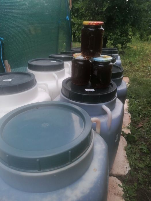 Vând miere BIO,  mană, poliflora, rapiță