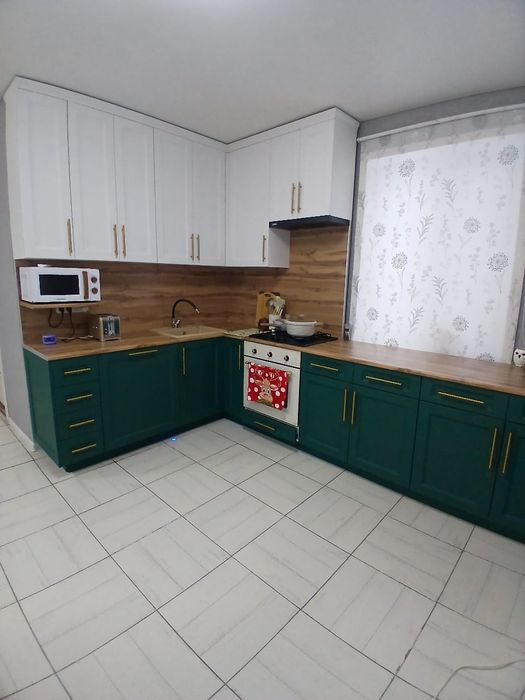 Большой дом в селе Федоровка