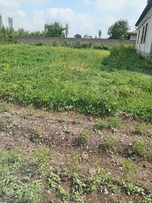 Чорвачилик учун ферма ижарага берилади