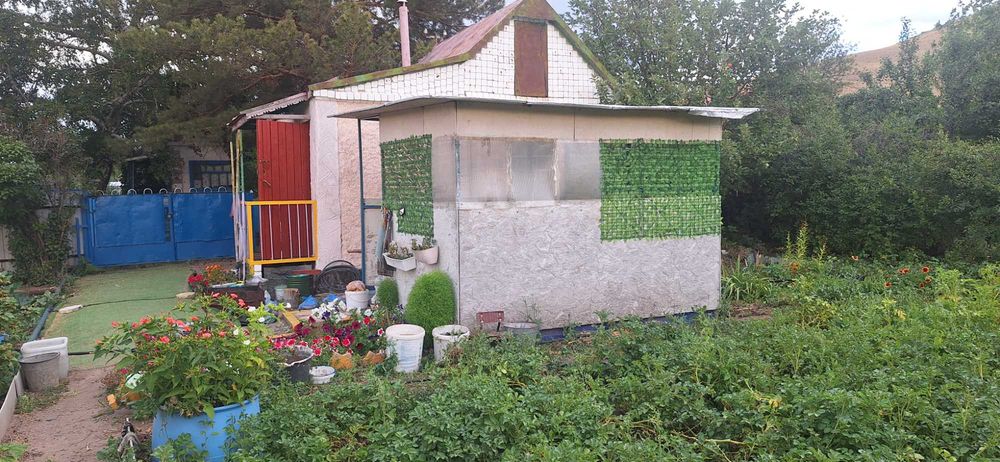 Продам дачу в обществе СПП