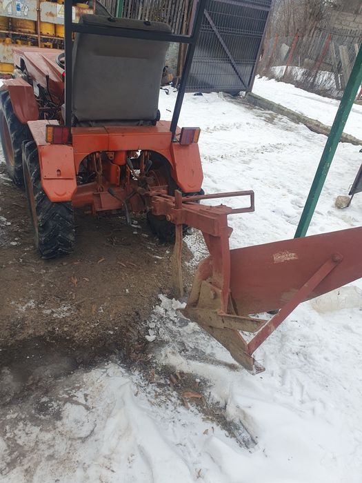 De vânzare pasquali adus Italia