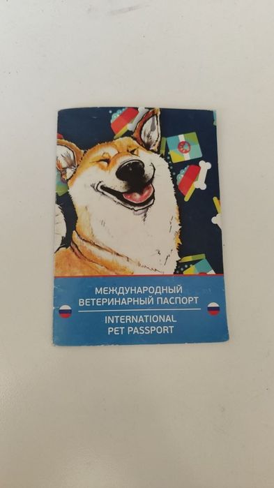 Продается собака парода Шит-цу!