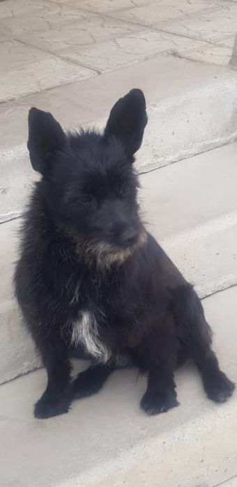 Замечательная стерильная молодая девочка