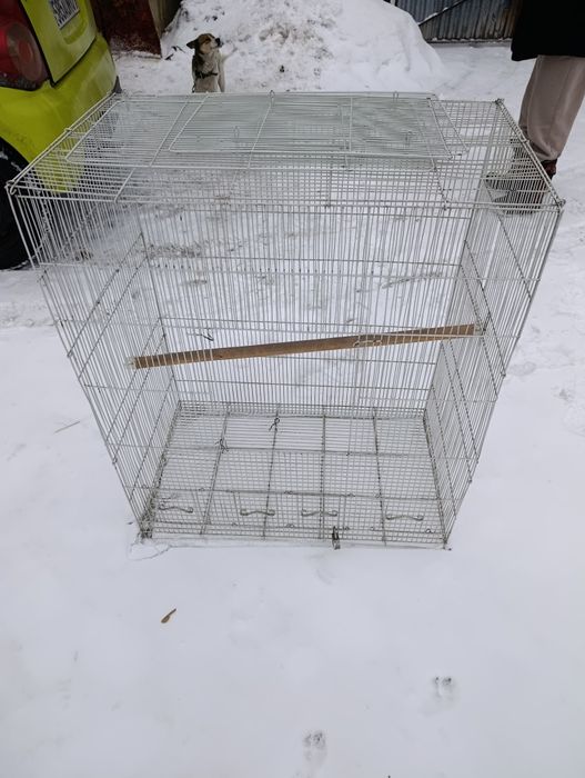 Клетка для птиц звоните