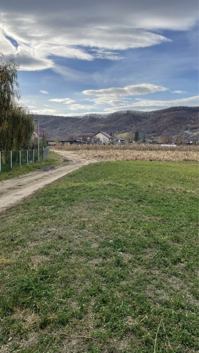 Teren arabil suprafață 3600 mp