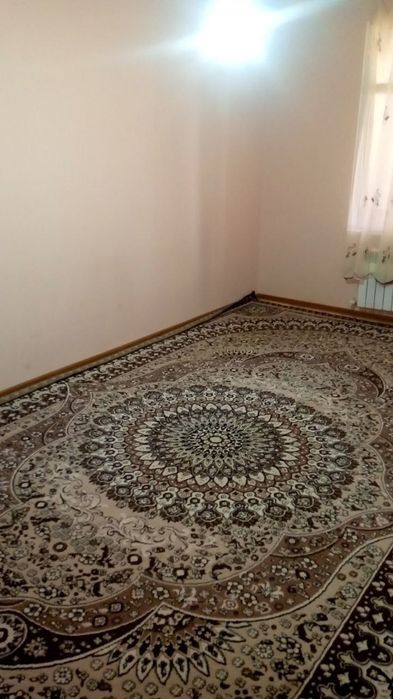 Оилага йоки студент кизларга