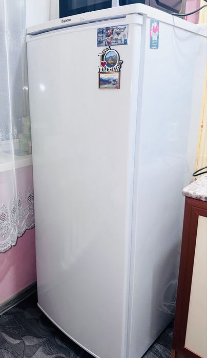 Холодильник Бирюса