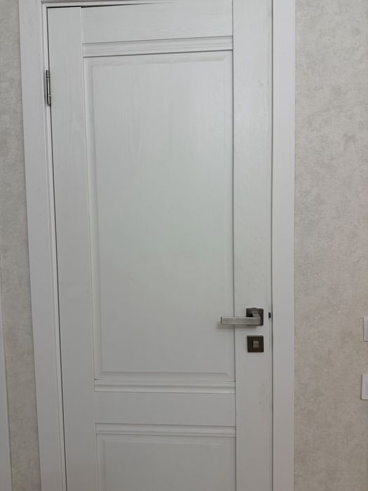 Дверь без каробки