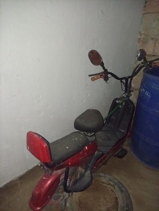 Обмен чисто жағдайы ләлә