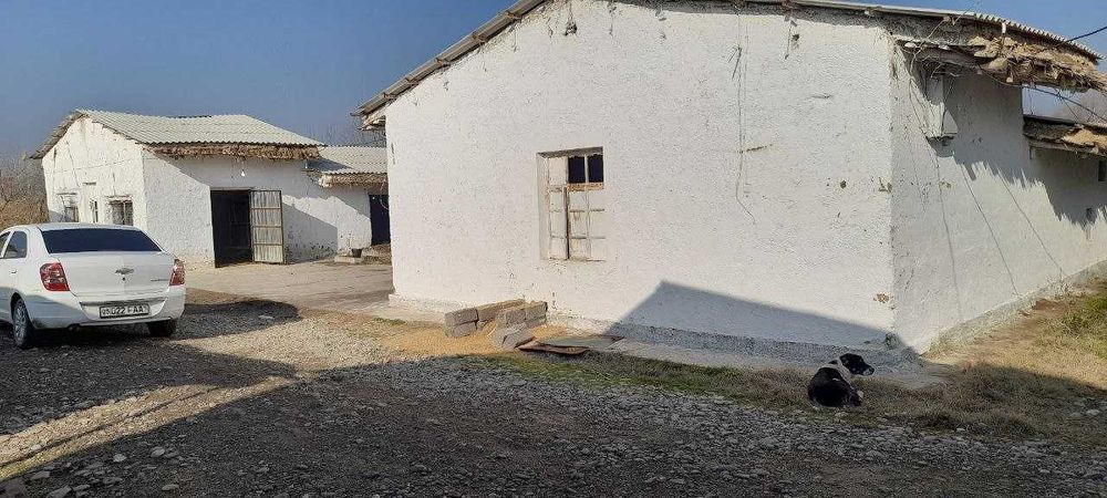 Parrandachilik fermasi