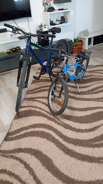 Bicicleta  polivalenta Riverside 500