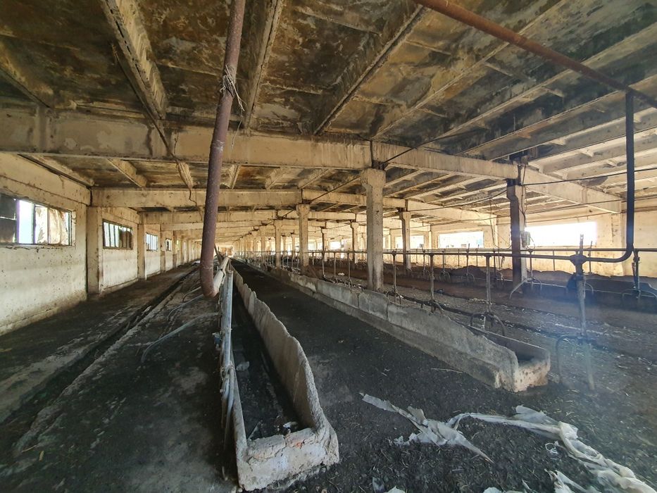 Ferma. 3.8 ga yer maydoniga ega chorva fermasi sotiladi