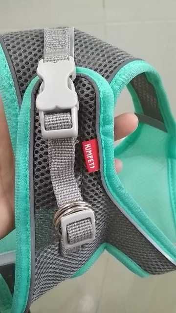 шлейки для питомцев