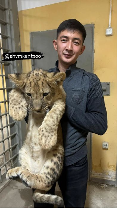 Ветеринар по вызову