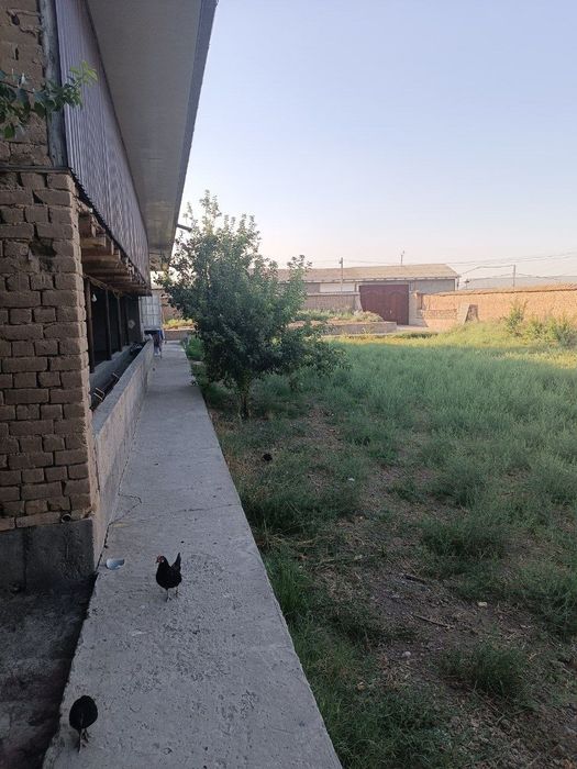 Mini ferma sotiladi yoki arendaga beriladi