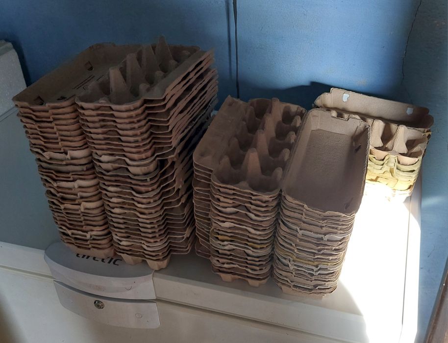 Cofraje pentru 10 oua