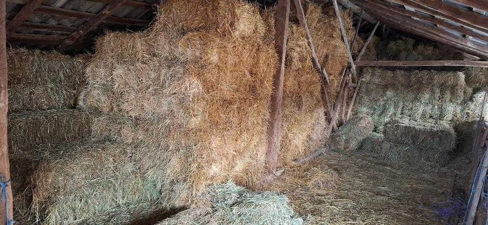 Furaje pentru animale - Baloti