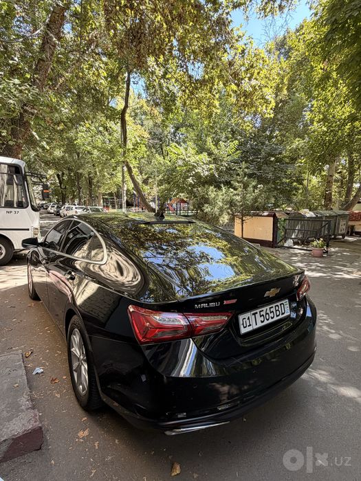 Malibu Primer 2022 (своя)